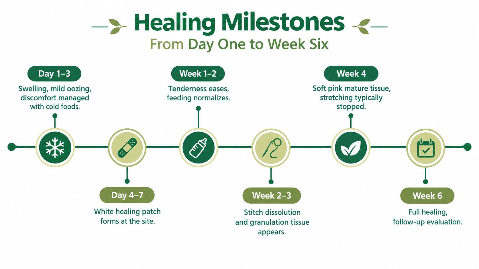 A timeline graphic showing healing milestones from day one to six weeks after a dental procedure.