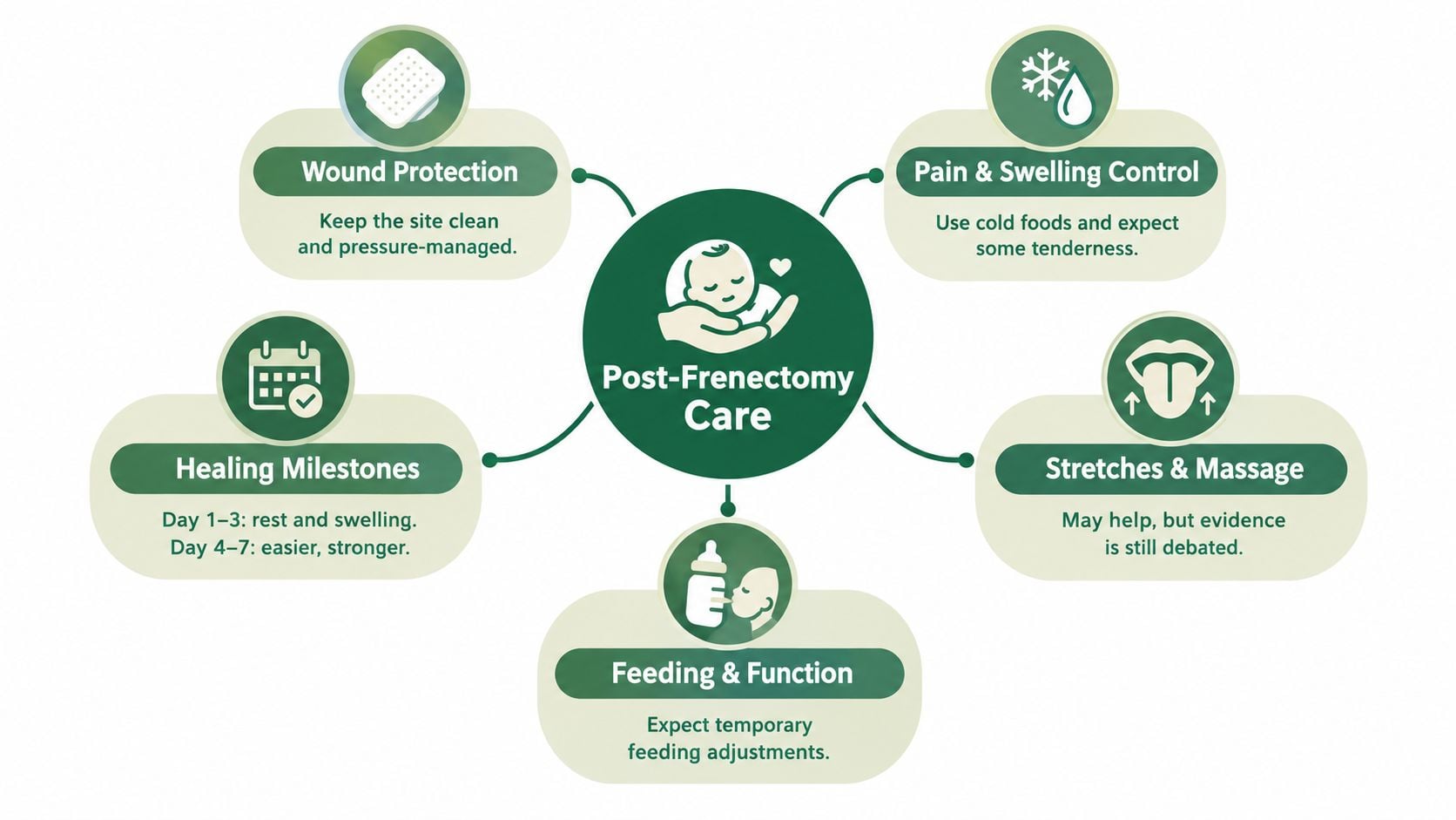 A visual guide summarizing five key aspects of post-frenectomy care for infants including recovery milestones and management.