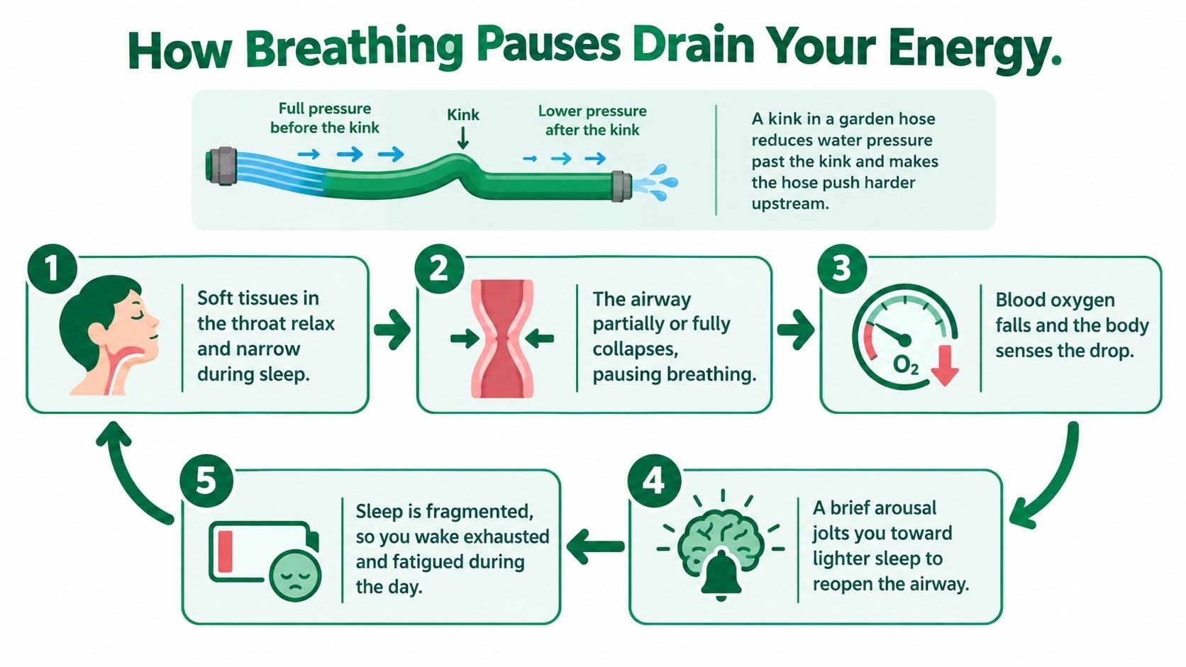 A diagram illustrating how sleep apnea causes breathing pauses and leads to chronic fatigue during the day.