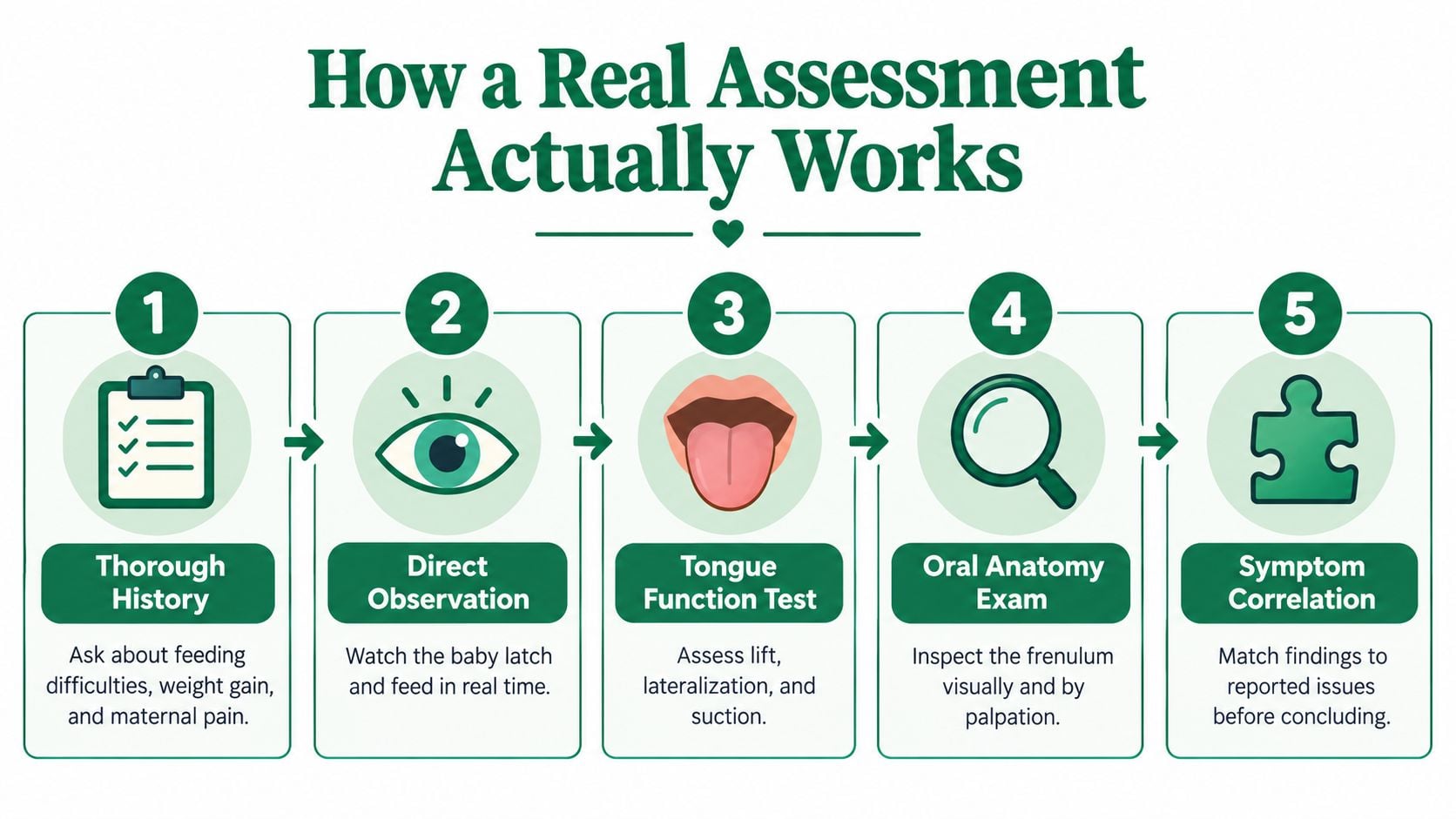 A five-step infographic showing the stages of a professional assessment for infant feeding and tongue ties.
